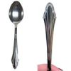 12 Count Stainless Steel Dinner Spoon Set