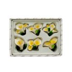 Lily Magnets Set